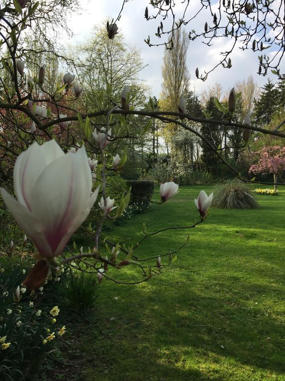 Le Domaine Des Loups Souchez Exterior foto